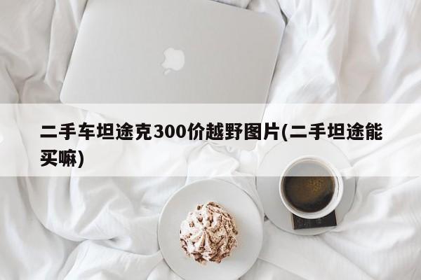 二手车坦途克300价越野图片(二手坦途能买嘛)