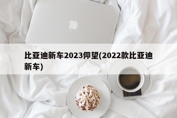 比亚迪新车2023仰望(2022款比亚迪新车)