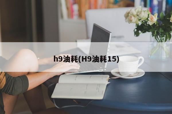 h9油耗(H9油耗15)