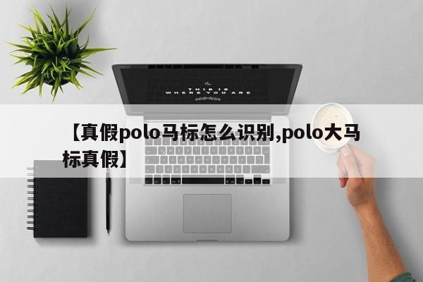 【真假polo马标怎么识别,polo大马标真假】
